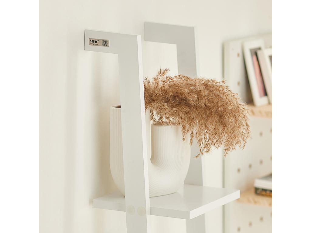 Bibliothèque Étagère murale style échelle Étagère échelle 4 niveaux- Blanc FRG15-W